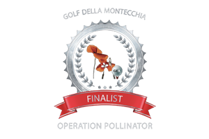 Golf Enviroment Award